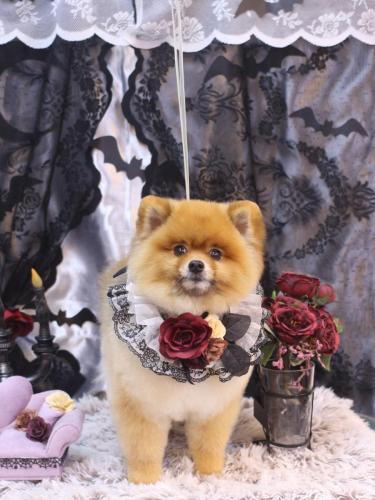 20231029小太郎くん